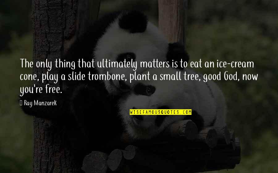 Plant Tree Quotes By Ray Manzarek: The only thing that ultimately matters is to