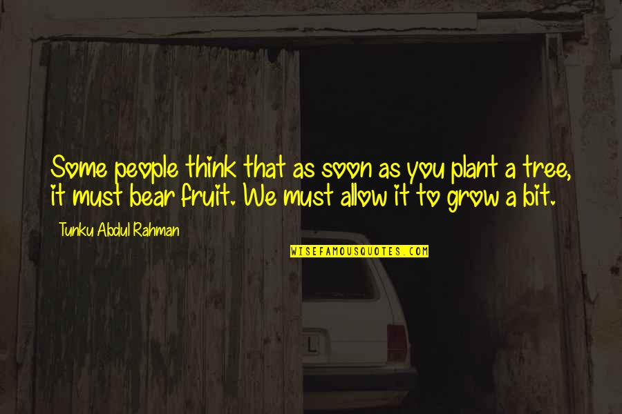 Plant Tree Quotes By Tunku Abdul Rahman: Some people think that as soon as you