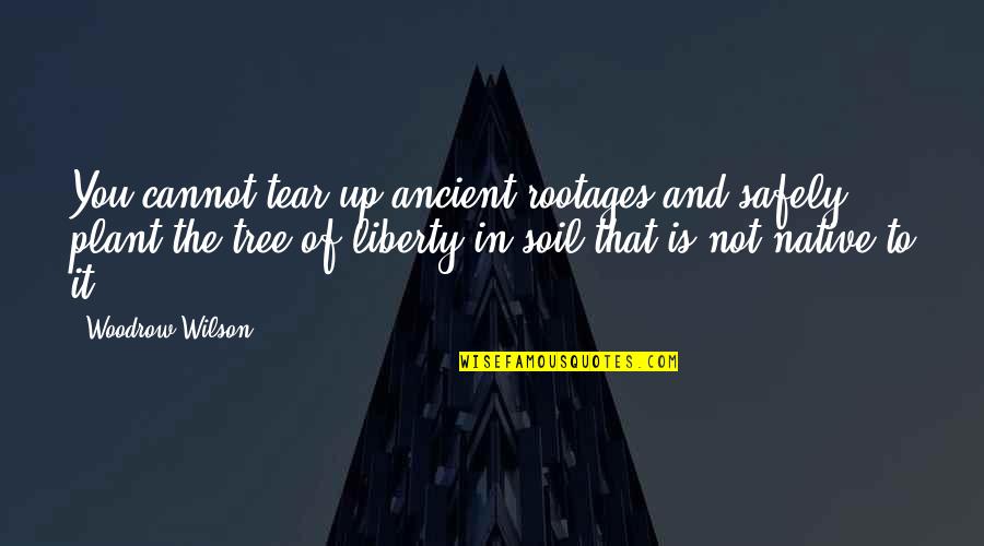 Plant Tree Quotes By Woodrow Wilson: You cannot tear up ancient rootages and safely Plant Tree Quotes By Woodrow Wilson: You cannot tear up ancient rootages and safely
