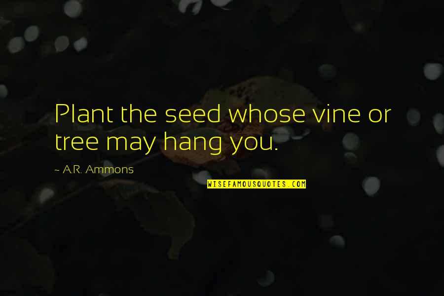 Plant Vine Quotes By A.R. Ammons: Plant the seed whose vine or tree may