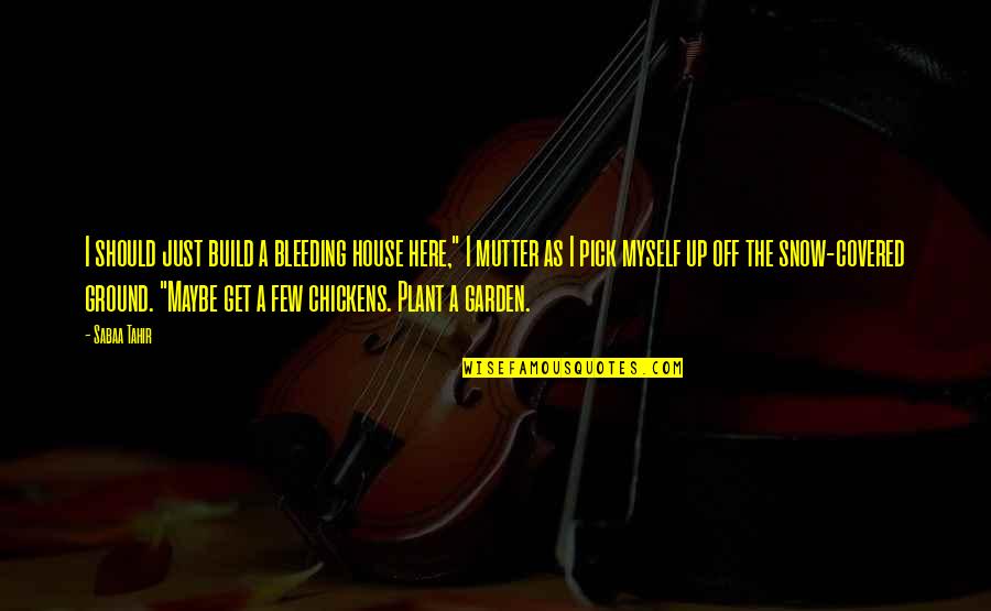 Plant Your Own Garden Quotes By Sabaa Tahir: I should just build a bleeding house here,"