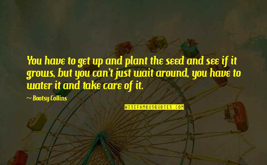 Plant Your Seed Quotes By Bootsy Collins: You have to get up and plant the