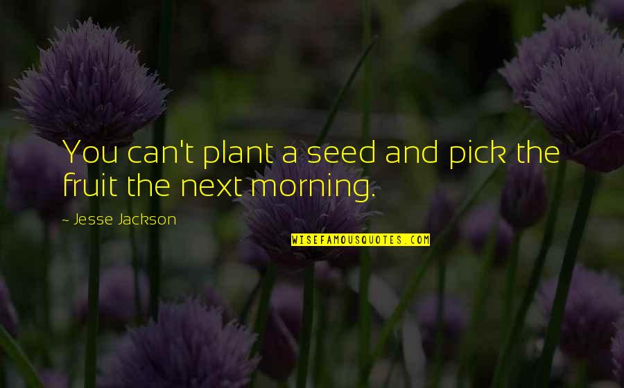 Plant Your Seed Quotes By Jesse Jackson: You can't plant a seed and pick the
