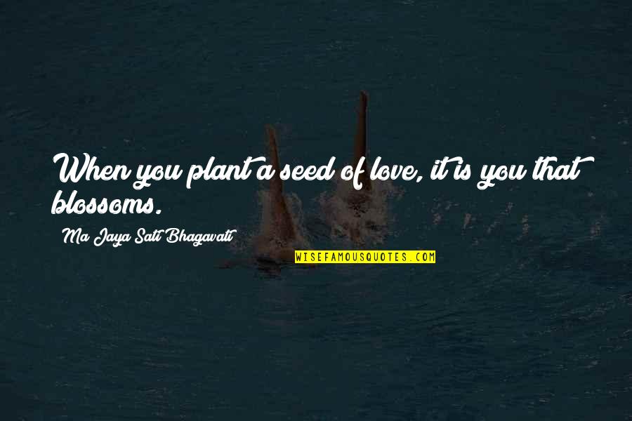 Plant Your Seed Quotes By Ma Jaya Sati Bhagavati: When you plant a seed of love, it