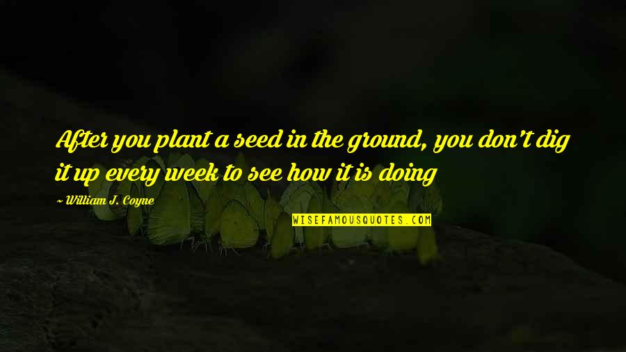 Plant Your Seed Quotes By William J. Coyne: After you plant a seed in the ground,