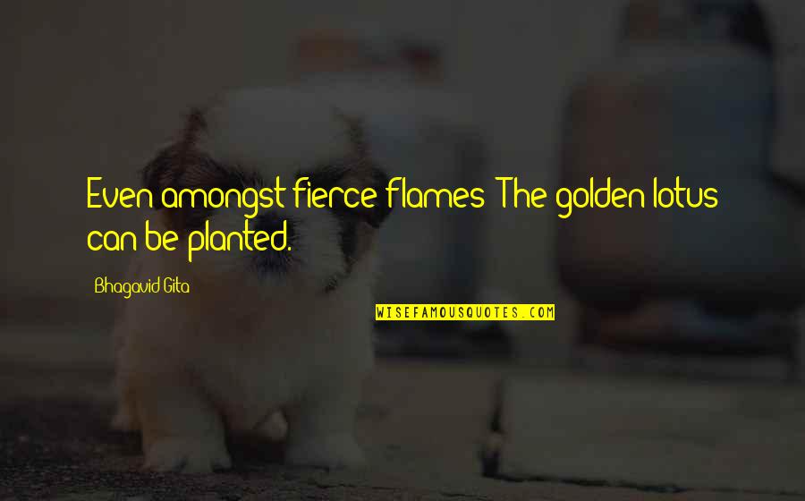Planted Quotes By Bhagavid-Gita: Even amongst fierce flames/ The golden lotus can