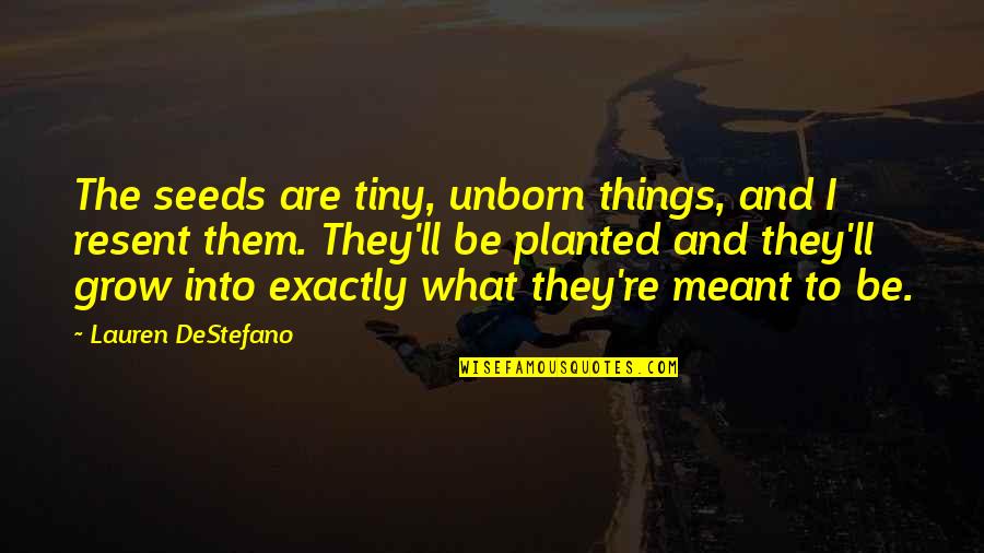 Planted Quotes By Lauren DeStefano: The seeds are tiny, unborn things, and I