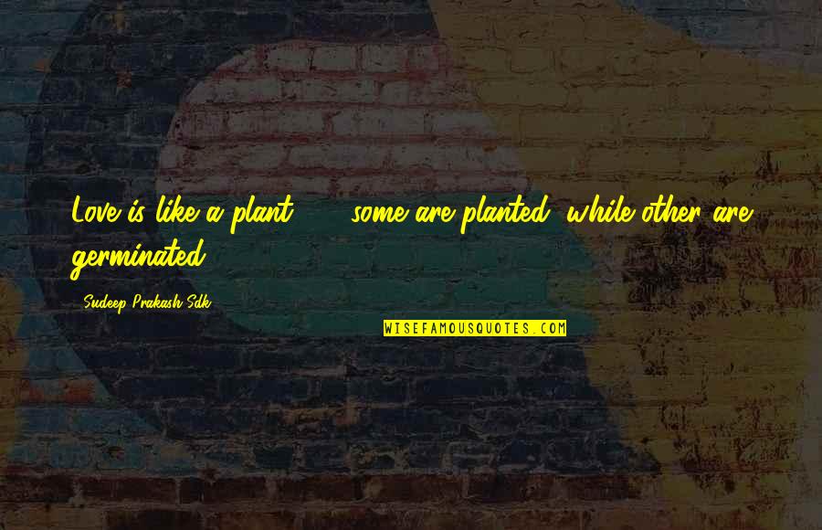 Planted Quotes By Sudeep Prakash Sdk: Love is like a plant ... ; some