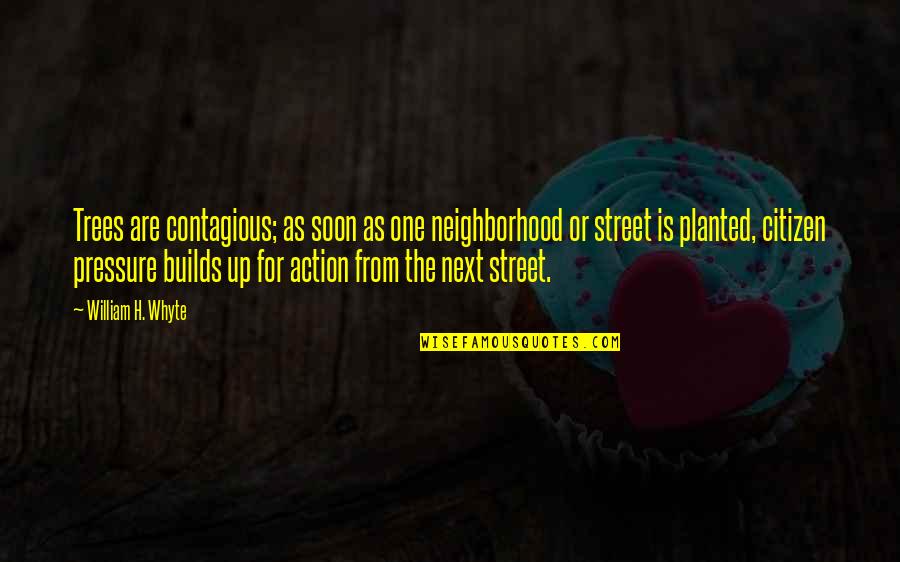 Planted Trees Quotes By William H. Whyte: Trees are contagious; as soon as one neighborhood