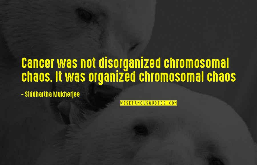 Plantengas Muskegon Quotes By Siddhartha Mukherjee: Cancer was not disorganized chromosomal chaos. It was