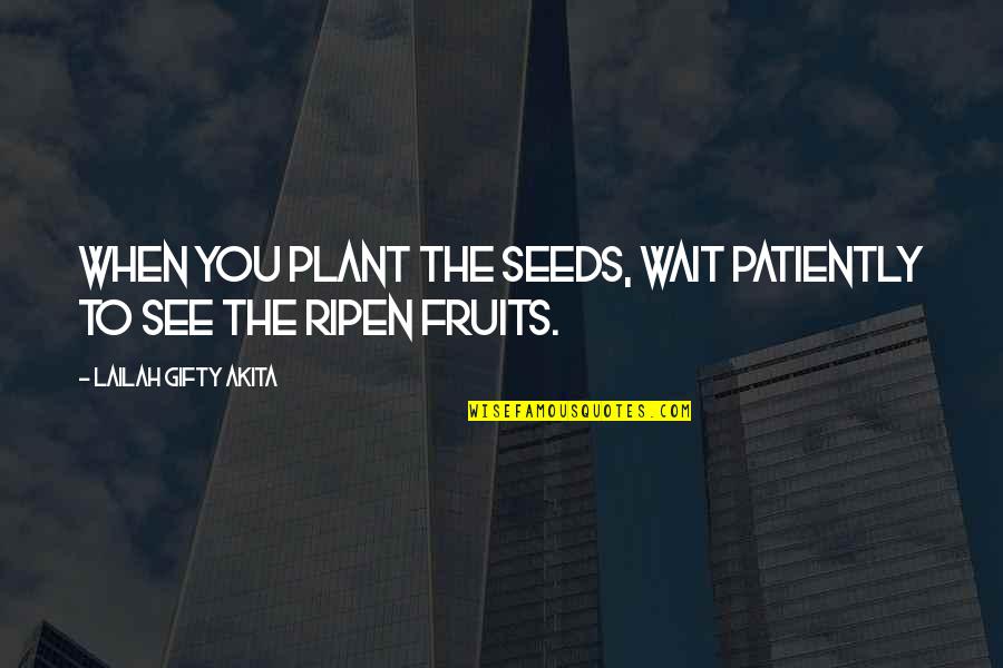 Planting The Seed Quotes By Lailah Gifty Akita: When you plant the seeds, wait patiently to