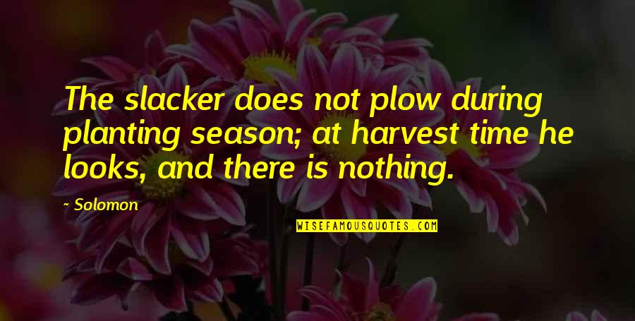 Planting's Quotes By Solomon: The slacker does not plow during planting season;