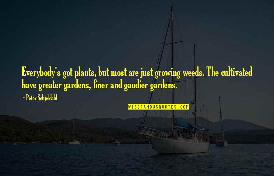 Plants And Growing Quotes By Peter Schjeldahl: Everybody's got plants, but most are just growing