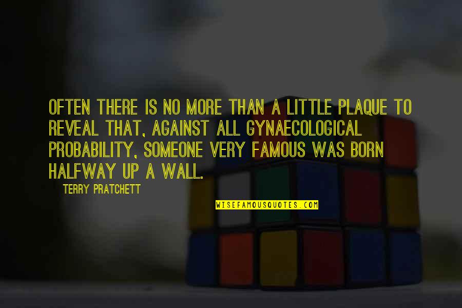 Plaque Quotes By Terry Pratchett: Often there is no more than a little