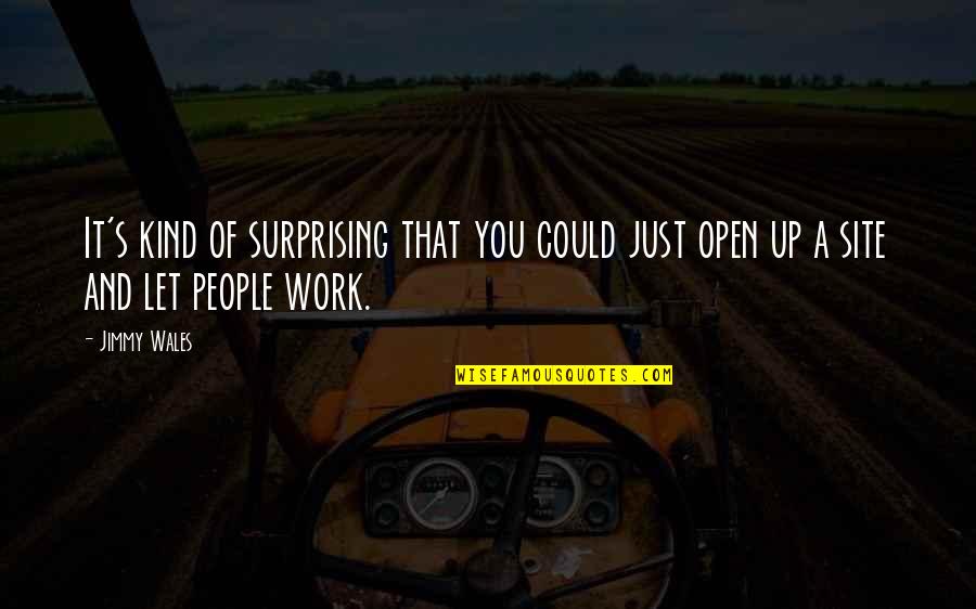 Plascon Paint Quotes By Jimmy Wales: It's kind of surprising that you could just