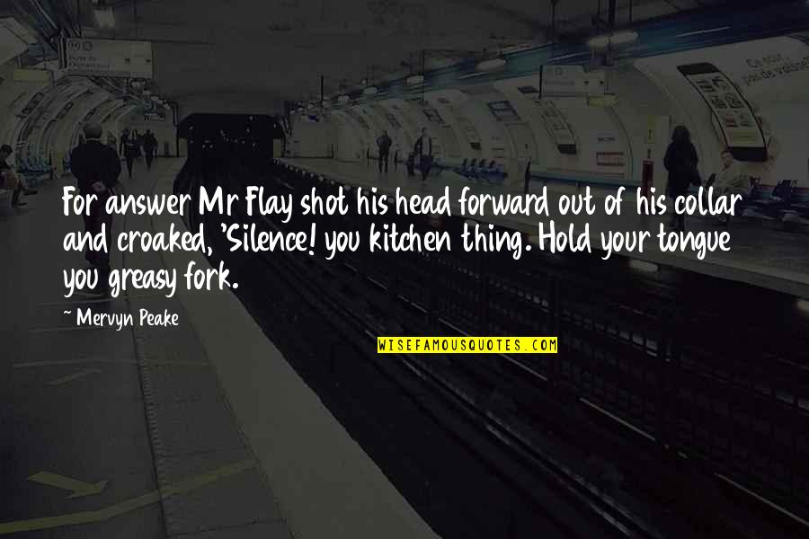 Plassan Quotes By Mervyn Peake: For answer Mr Flay shot his head forward
