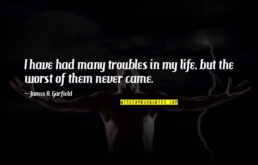 Plastic Bottles Quotes By James A. Garfield: I have had many troubles in my life,