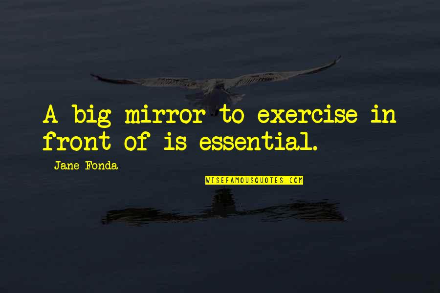 Plasticene Quotes By Jane Fonda: A big mirror to exercise in front of