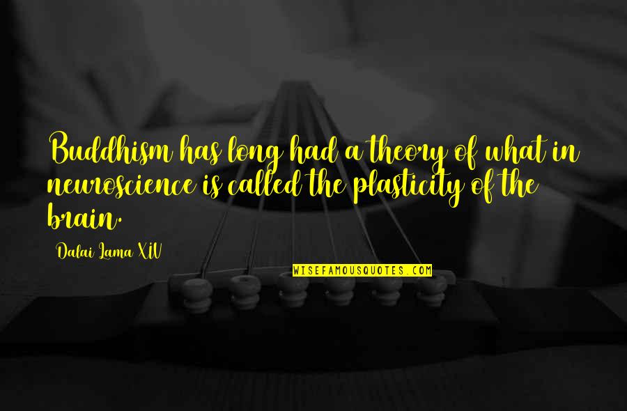 Plasticity Quotes By Dalai Lama XIV: Buddhism has long had a theory of what Plasticity Quotes By Dalai Lama XIV: Buddhism has long had a theory of what