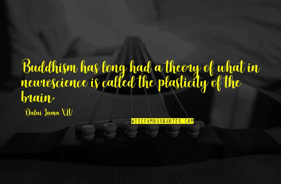 Plasticity Quotes By Dalai Lama XIV: Buddhism has long had a theory of what