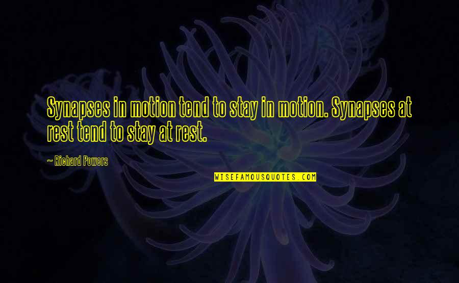 Plasticity Quotes By Richard Powers: Synapses in motion tend to stay in motion.