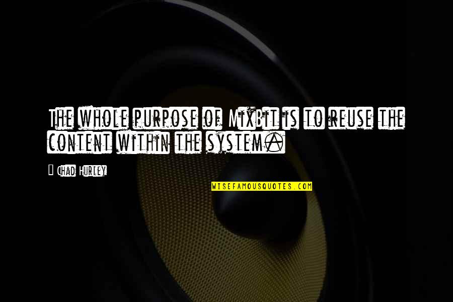 Plateadas Con Quotes By Chad Hurley: The whole purpose of MixBit is to reuse