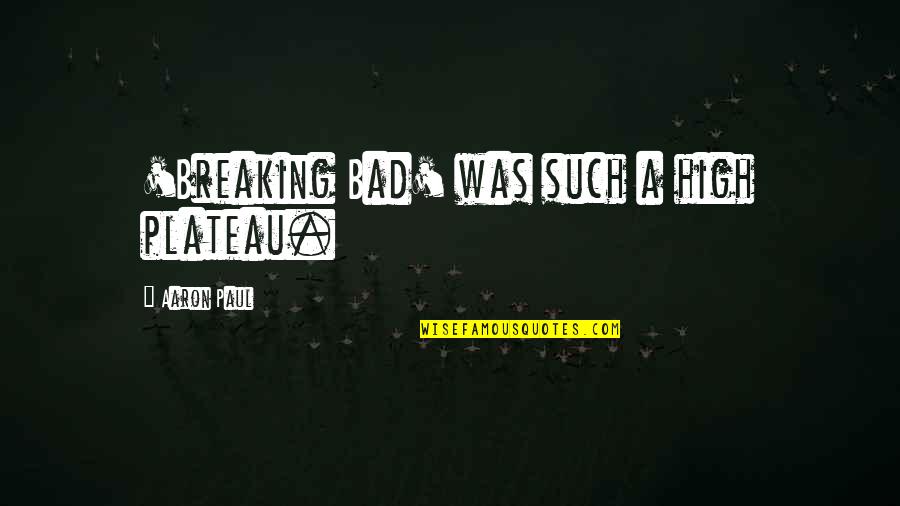 Plateau Quotes By Aaron Paul: 'Breaking Bad' was such a high plateau.