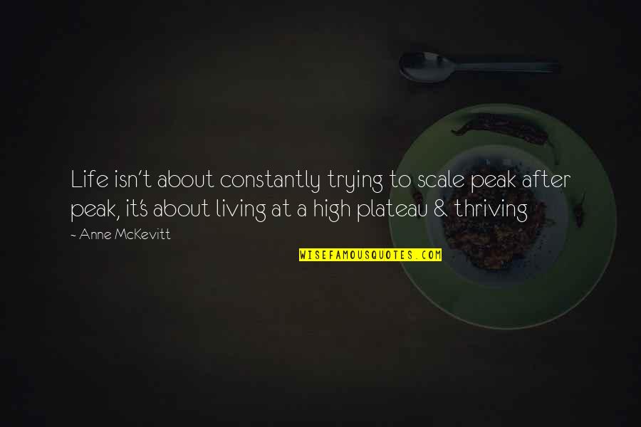 Plateau Quotes By Anne McKevitt: Life isn't about constantly trying to scale peak