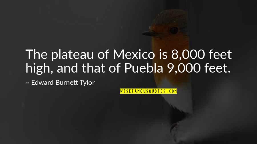 Plateau Quotes By Edward Burnett Tylor: The plateau of Mexico is 8,000 feet high,