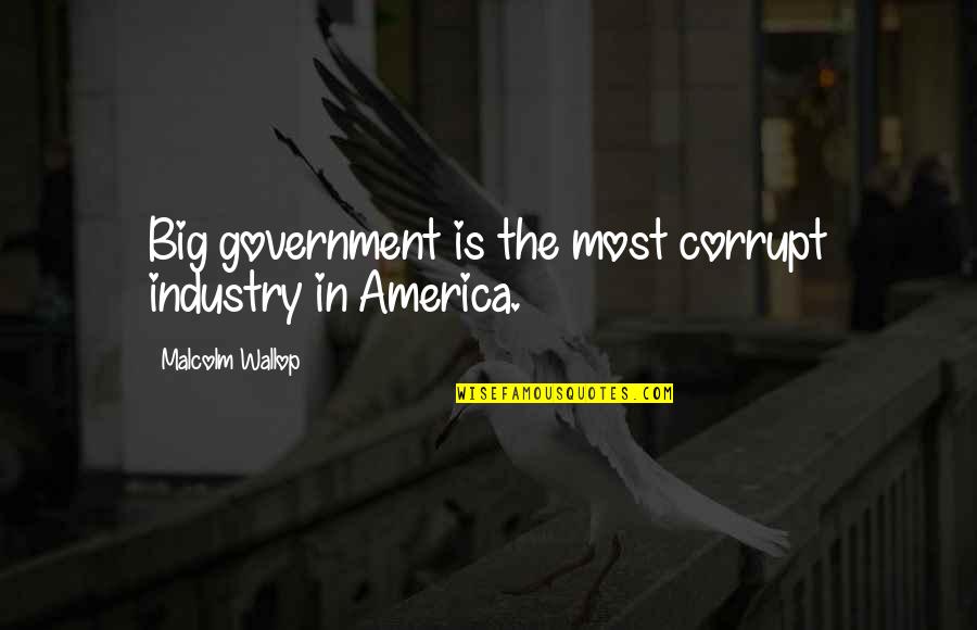 Plateria Taxco Quotes By Malcolm Wallop: Big government is the most corrupt industry in