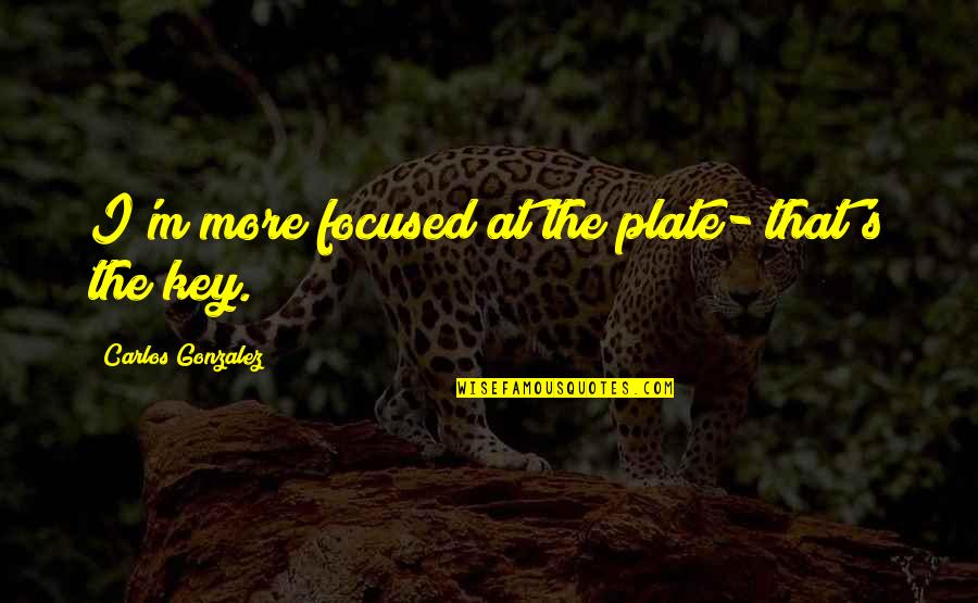 Plates Quotes By Carlos Gonzalez: I'm more focused at the plate- that's the Plates Quotes By Carlos Gonzalez: I'm more focused at the plate- that's the