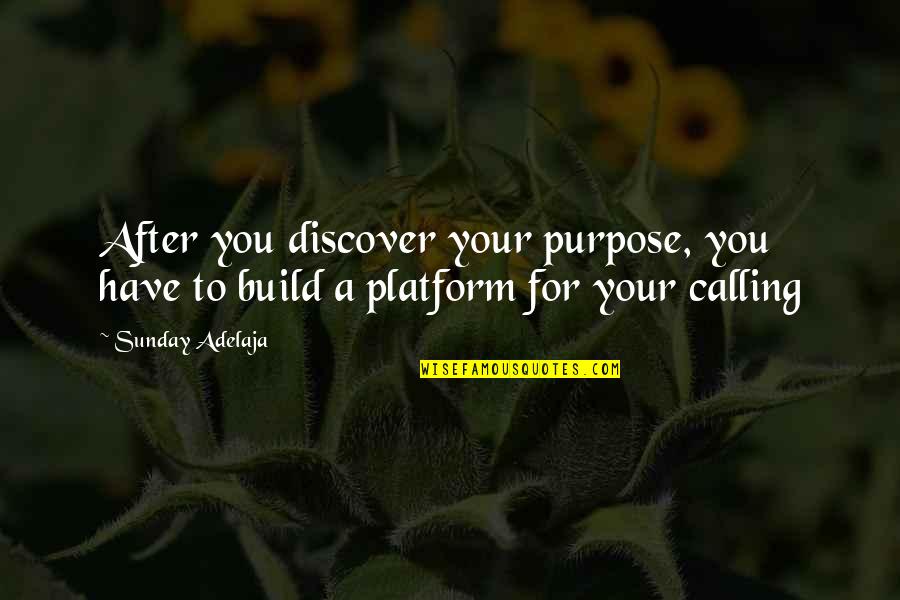 Platform Quotes By Sunday Adelaja: After you discover your purpose, you have to