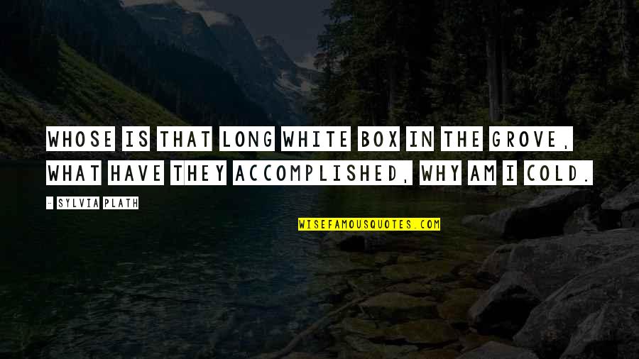 Plath Sylvia Quotes By Sylvia Plath: Whose is that long white box in the