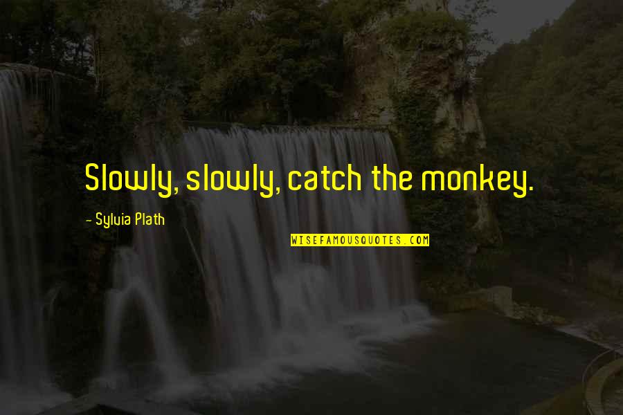Plath's Quotes By Sylvia Plath: Slowly, slowly, catch the monkey.