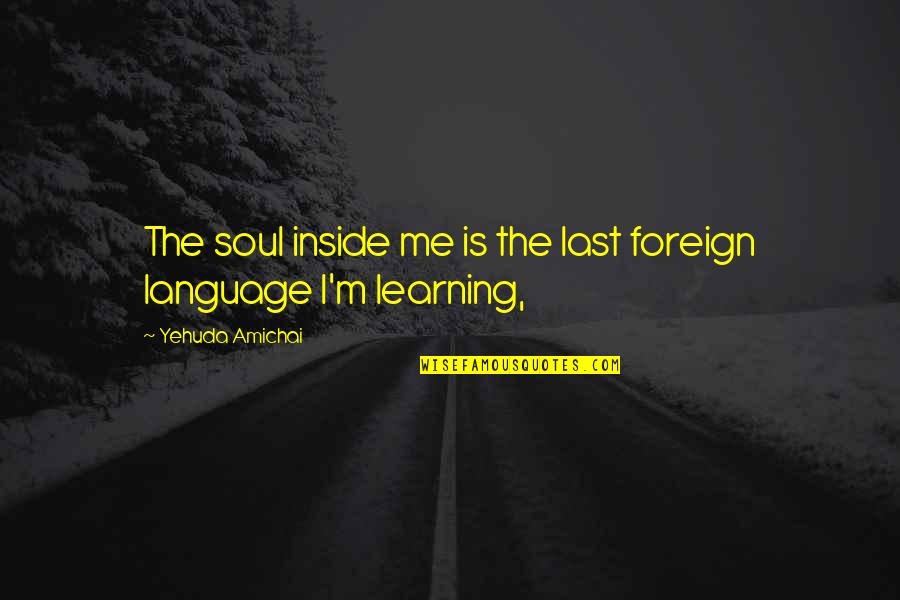 Plato Euthyphro Quotes By Yehuda Amichai: The soul inside me is the last foreign