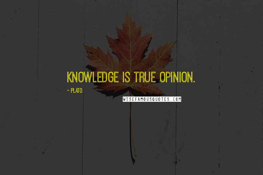 Plato quotes: Knowledge is true opinion.