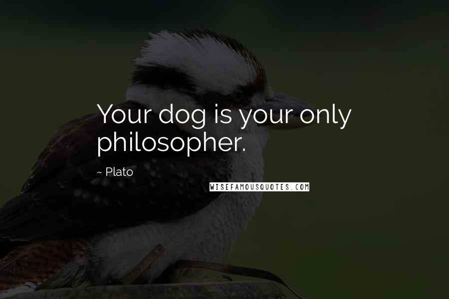 Plato quotes: Your dog is your only philosopher.