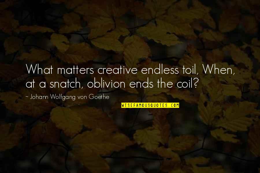Platonian View Quotes By Johann Wolfgang Von Goethe: What matters creative endless toil, When, at a