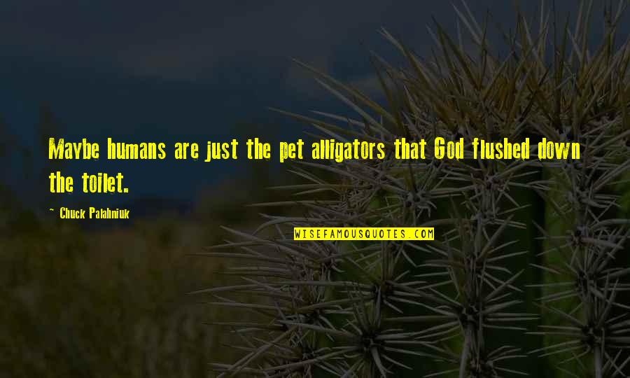Platonico Dicionario Quotes By Chuck Palahniuk: Maybe humans are just the pet alligators that