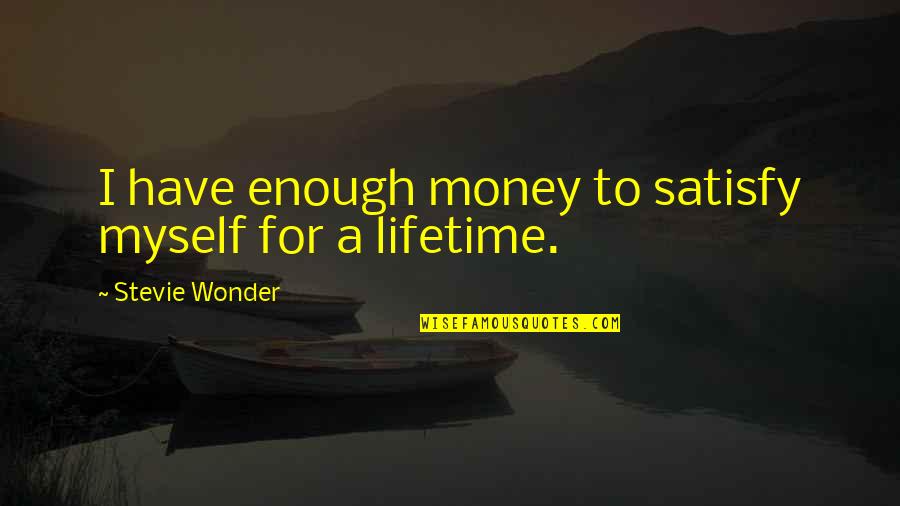 Platrier Peintre Quotes By Stevie Wonder: I have enough money to satisfy myself for