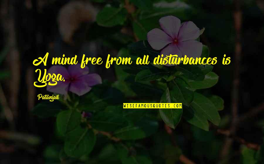 Plauche Oysters Quotes By Patanjali: A mind free from all disturbances is Yoga.
