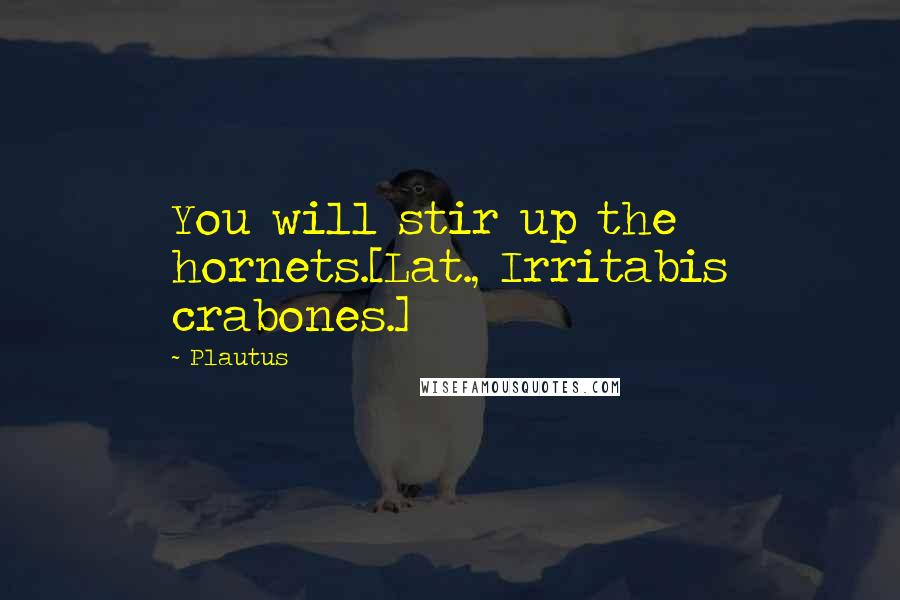 Plautus quotes: You will stir up the hornets.[Lat., Irritabis crabones.]