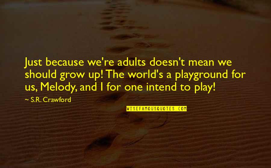 Play And Fun Quotes By S.R. Crawford: Just because we're adults doesn't mean we should