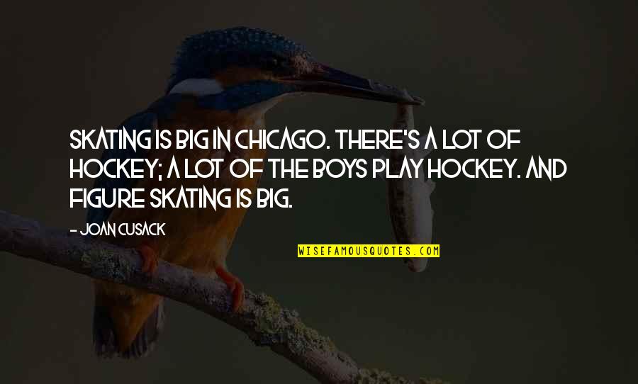 Play Boy Quotes By Joan Cusack: Skating is big in Chicago. There's a lot