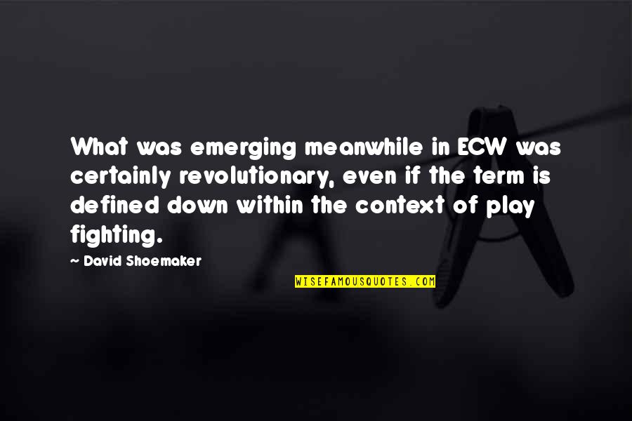 Play Fighting Quotes By David Shoemaker: What was emerging meanwhile in ECW was certainly