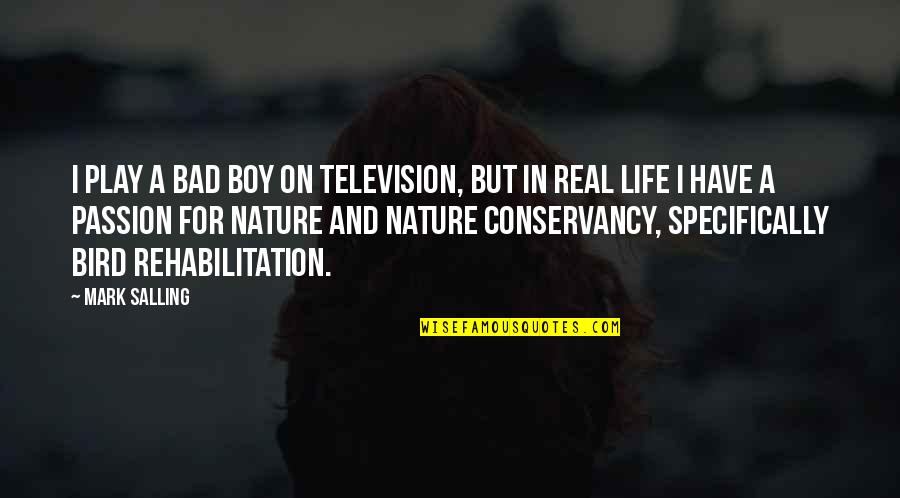 Play With Nature Quotes By Mark Salling: I play a bad boy on television, but Play With Nature Quotes By Mark Salling: I play a bad boy on television, but