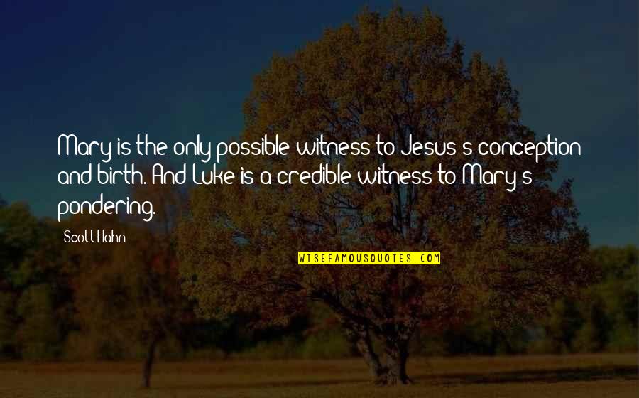Playat Quotes By Scott Hahn: Mary is the only possible witness to Jesus's Playat Quotes By Scott Hahn: Mary is the only possible witness to Jesus's