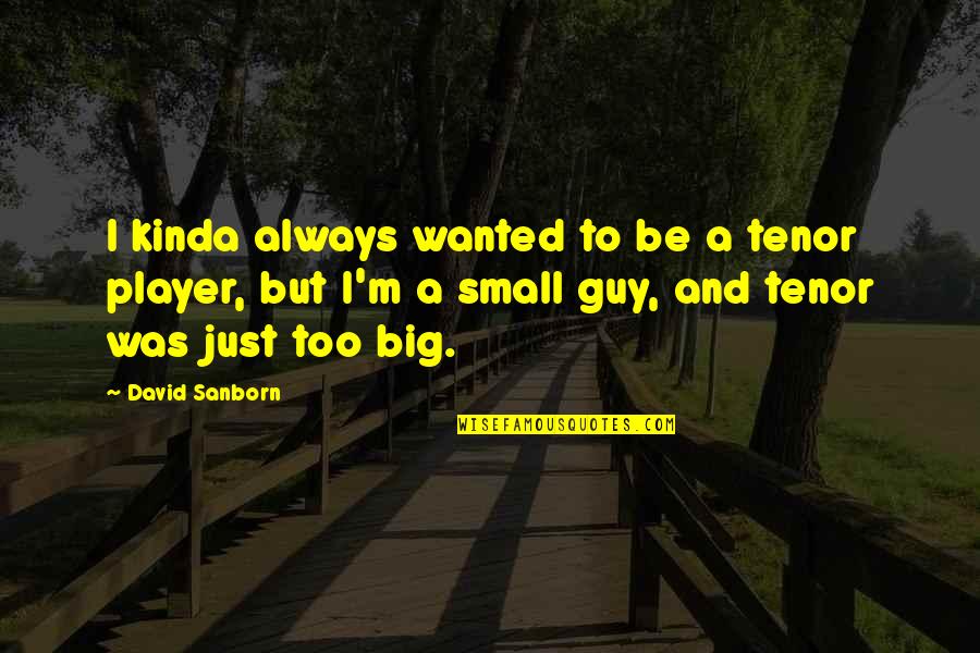 Player Quotes By David Sanborn: I kinda always wanted to be a tenor
