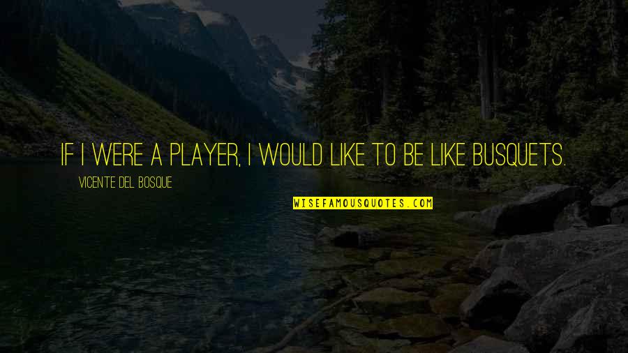Player Quotes By Vicente Del Bosque: If I were a player, I would like
