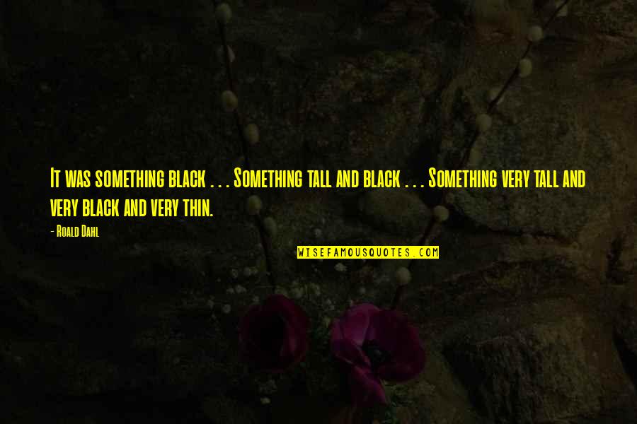 Playgroup Quotes By Roald Dahl: It was something black . . . Something